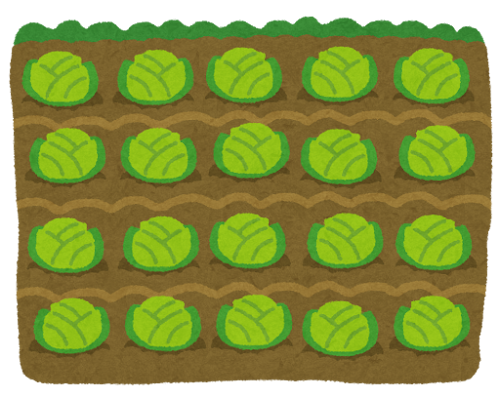 冬野菜植え付けイベントレポート